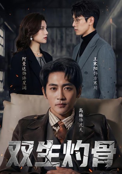 双生灼骨（60集）王寒阳＆阿曼达＆高杨 高清完整版